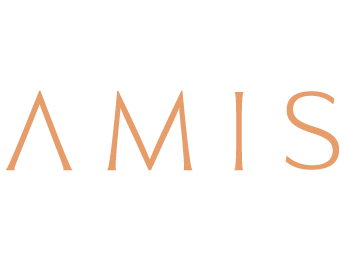 AMIS Properties Logo