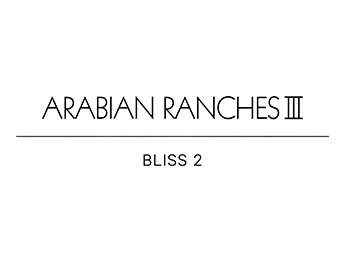 Bliss 2 Logo