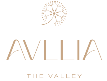 Emaar Avelia at The Valley Dubai logo