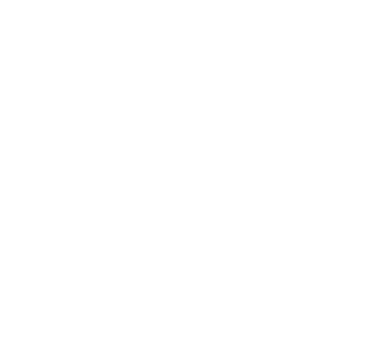 Whatsapp Icon